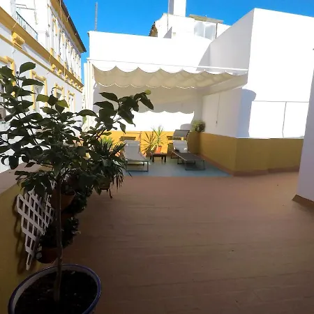 Duplex Acogedor Con Gran Terraza En Pleno Centro De Sevilla! *